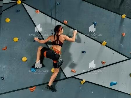 vente local d'activités 6 614 m²