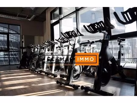 vente local d'activités 485 m²