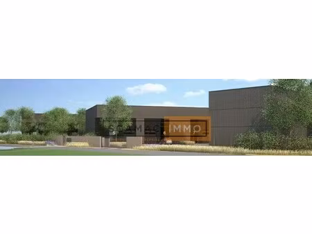vente local d’activités nangis 77370 139m²