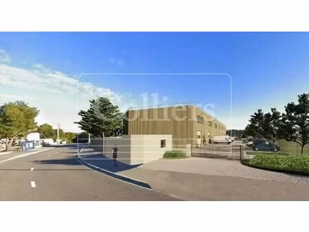 vente local d’activités port de bouc 13110 217m² à 1893m²