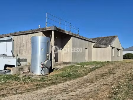 vente local d’activités redene 29300 540m²