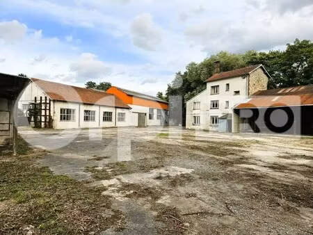 vente local d'activités 1 230 m²