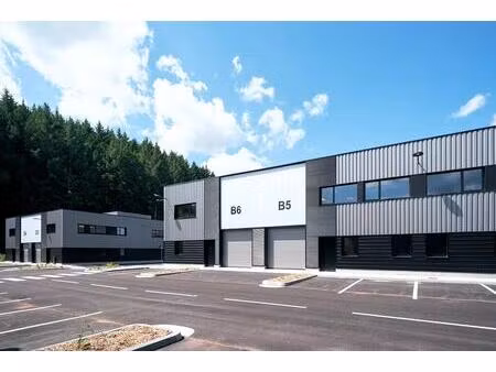 vente local d’activités tarare 69170 160m² à 541m²