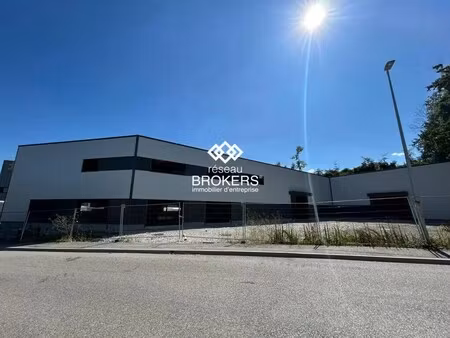 vente entrepôt 315 m²