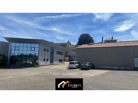 vente local d'activités 1 272 m²