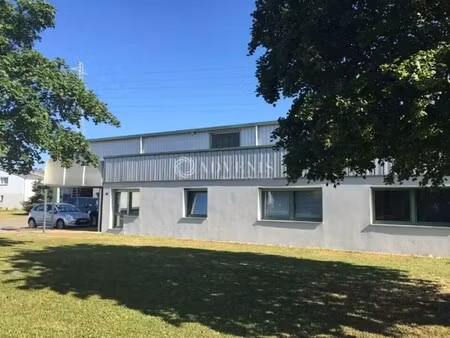 vente local d'activités 993 m²