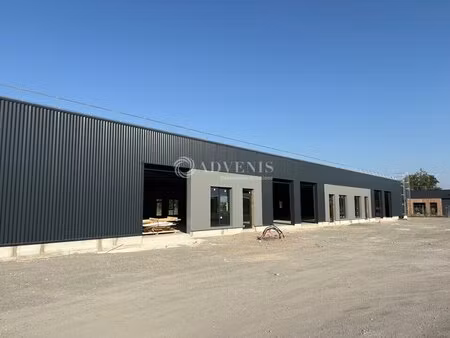 vente local d’activités geispolsheim 67118 165m² à 550m²