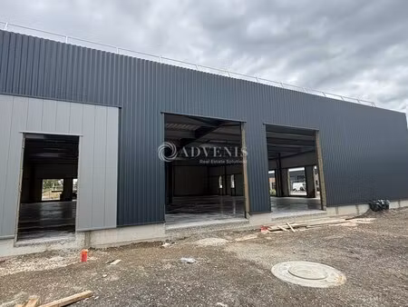 vente local d’activités geispolsheim 67118 165m² à 660m²