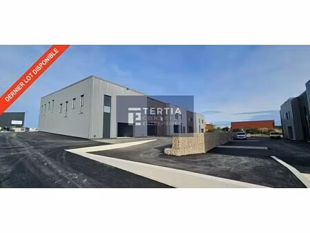 vente local d'activités 150 m² à 532 m²