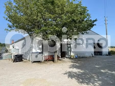 vente entrepôt montbeton 82290 450m²