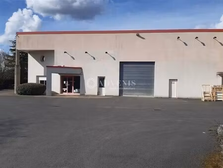 vente local d’activités poce sur cisse 37530 1160m²