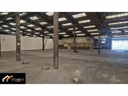 vente local d’activités sarreguemines 57200 2500m²