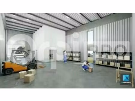 vente local d’activités fareins 01480 1500m²