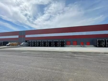 location entrepôt logistique boisseaux 45480 31245m²