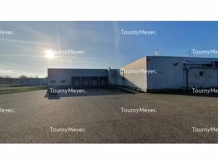 location entrepôt 8 700 m²