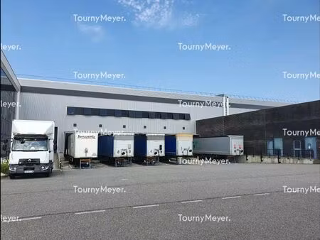 location entrepôt 28 000 m²