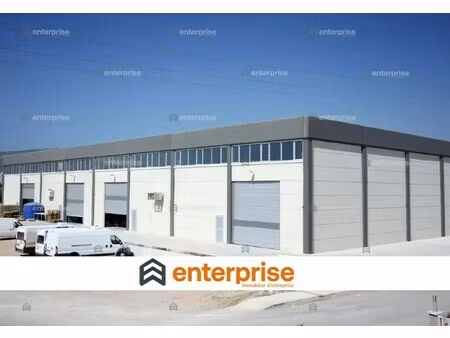 location local d'activités 247 m² à 1 488 m²