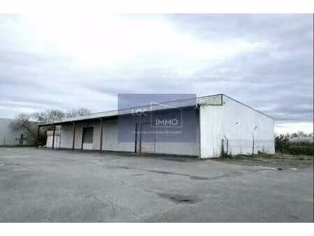 location entrepôt 1 170 m²