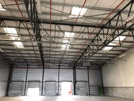 location entrepôt 556 m²