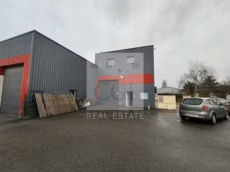 location local d’activités luzinay 38200 260m²