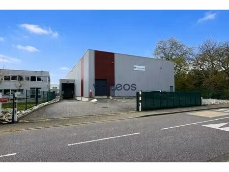 location local d’activités quint fonsegrives 31130 1022m²
