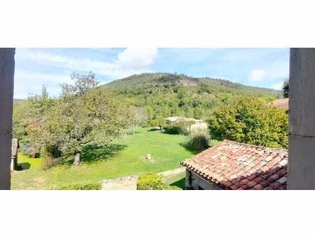 vente moulin 9 pièces 300 m² à saint-antonin-noble-val (82140)  399 000 €