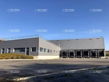 location entrepôt logistique baziège 31450 10583m²