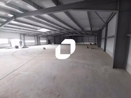 location local d'activités 2 000 m²