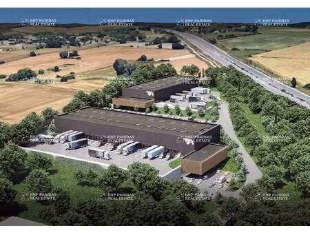 location local d’activités bouloc 31620 2400m² à 5800m²