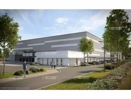 location entrepôt logistique montbartier 82700 4932m² à 18426m²