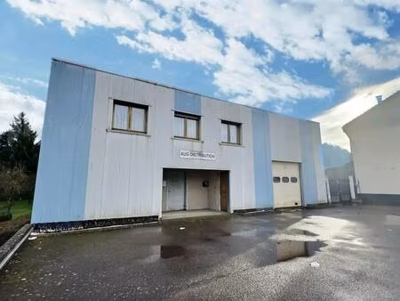 location local d’activités betting 57800 440m²