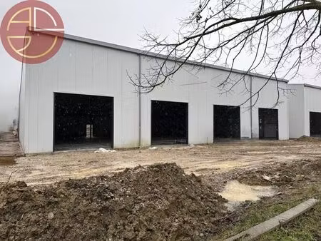 location entrepôt verfeil 31590 150m²