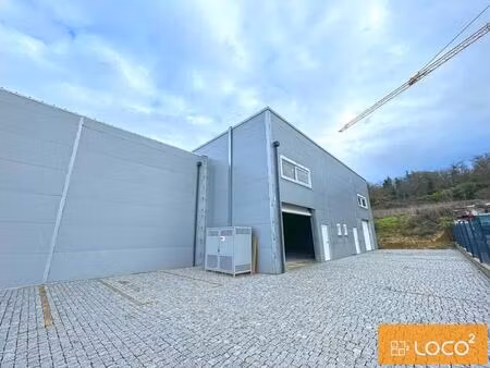 location local d'activités 490 m²