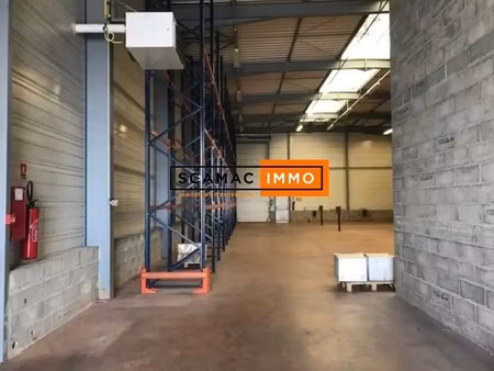 location entrepôt 231 m² à 655 m²