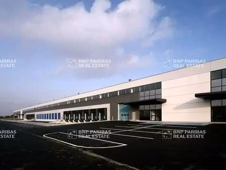 location entrepôt logistique 10 299 m² à 21 035 m²