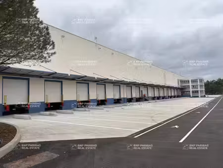 location entrepôt vendargues 34740 32073m²