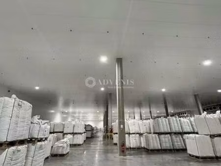 location entrepôt 3 960 m²