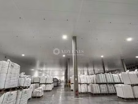 location entrepôt perpignan 66000 3960m²