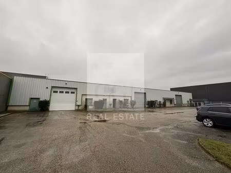location local d'activités 1 305 m²