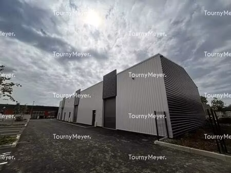 location local d’activités saint jory 31790 159m²
