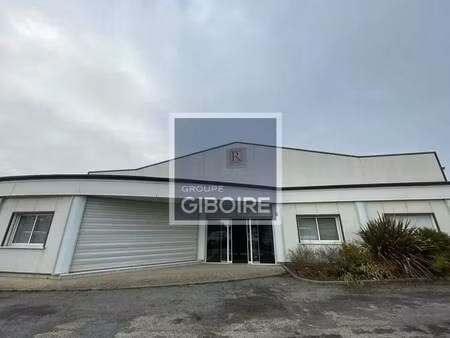 location entrepôt 590 m²