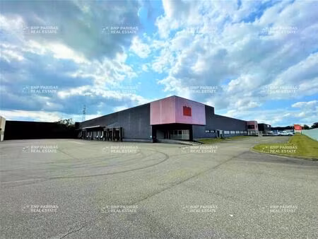 location entrepôt logistique 1 644 m²