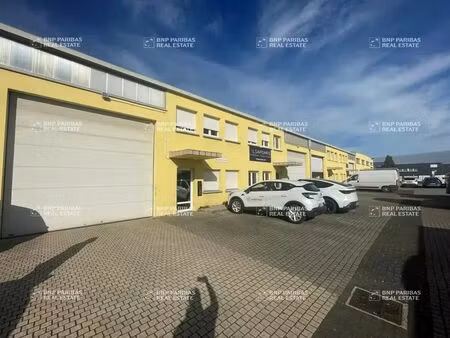 location local d’activités hœrdt 67720 242m² à 897m²