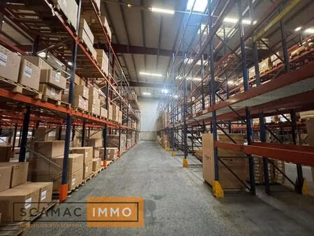location entrepôt 5 000 m²