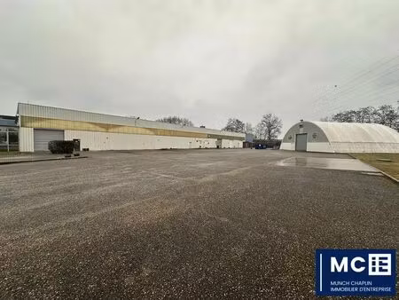location entrepôt duppigheim 67120 4043m²