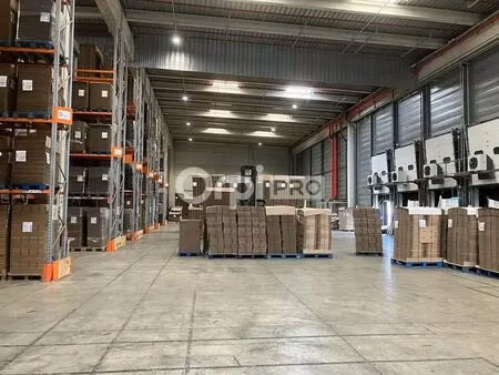 location entrepôt mions 69780 5391m²