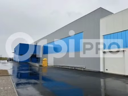 location local d’activités fareins 01480 482m² à 1939m²