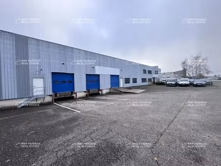 location local d’activités geispolsheim 67118 446m²