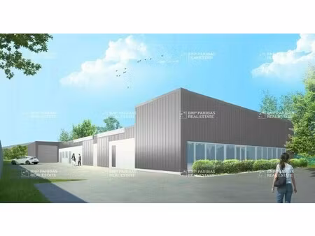 location local d'activités 336 m² à 1 232 m²