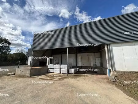 location local d'activités 650 m²